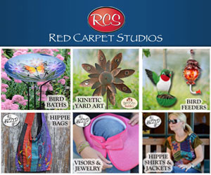 Red Carpet Studios 300 x 250